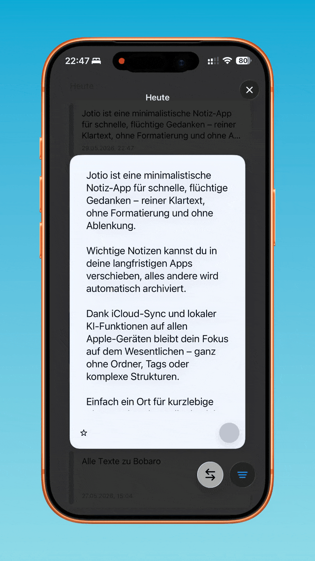 Einordnung der Notizen