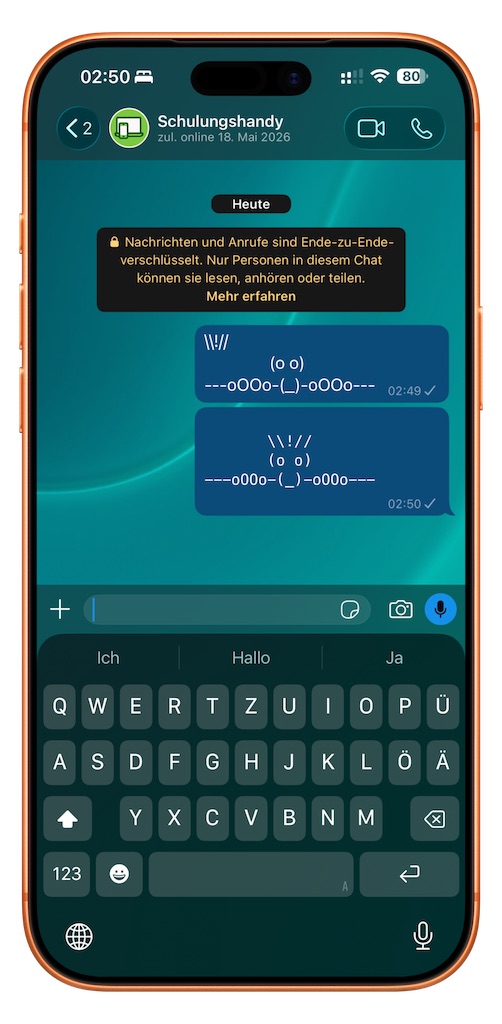 ASCII-Art Darstellung